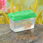 Portable Mini Aquarium for Reptiles and Small Pets