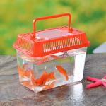 Portable Mini Aquarium for Reptiles and Small Pets