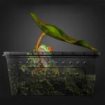 Portable Reptile Terrarium Habitat - Stackable Container