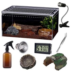 Sanosy Eco Rainforest Terrarium and Feeding Kit