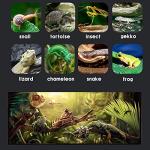 Sanosy Eco Rainforest Terrarium and Feeding Kit