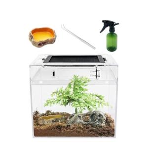 Mini Amphibian Terrarium Kit for Small Reptiles