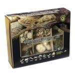 Galápagos Arid Environment Terrarium Kit for Reptiles