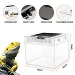 Mini Amphibian Terrarium Kit for Small Reptiles