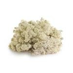 Galápagos Arid Environment Terrarium Kit for Reptiles