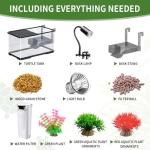 Turtle Tank Kit with Light and Filter