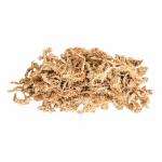 Galápagos Arid Environment Terrarium Kit for Reptiles