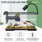 Turtle Tank Kit with Light and Filter