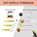 Mini Amphibian Terrarium Kit for Small Reptiles