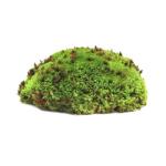 Galápagos Arid Environment Terrarium Kit for Reptiles