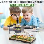 Turtle Tank Kit with Light and Filter