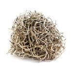 Galápagos Arid Environment Terrarium Kit for Reptiles