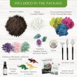DIY Large Terrarium Starter Kit for Reptiles