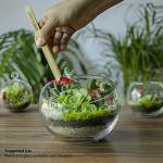 Cute Farms Complete Terrarium Kit for Reptiles