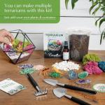 DIY Large Terrarium Starter Kit for Reptiles