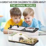 Complete Turtle Tank Kit with Light and Filter