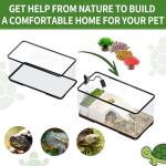 Complete Turtle Tank Kit with Light and Filter