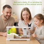 Large Turtle Tank Kit with Filter and Accessories