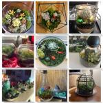 Cute Farms Complete Terrarium Kit for Reptiles