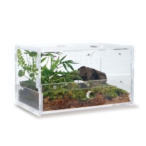 Acrylic Reptile Terrarium Habitat for Amphibians