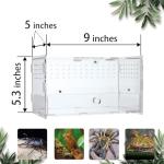 Acrylic Reptile Terrarium Habitat for Amphibians