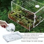 Acrylic Reptile Terrarium Habitat for Amphibians