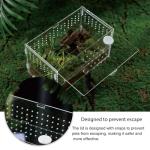 Acrylic Reptile Terrarium Habitat for Amphibians