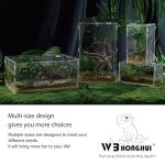 Acrylic Clear Reptile Habitat Enclosure with Latch