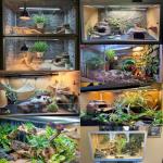 Zen Habitats 4'x2'x2' Reptile Habitat 3.0