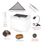 Small Reptile Habitat with Hammock and Heat Lamp