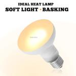 3 Pack 100W UVA Heat Lamps for Reptiles