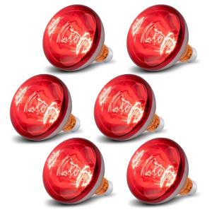 250W Heat Lamp Bulbs - 6 Pack for Reptiles