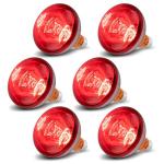 250W Heat Lamp Bulbs - 6 Pack for Reptiles