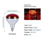 250W Heat Lamp Bulbs - 6 Pack for Reptiles
