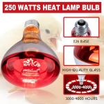 250W Heat Lamp Bulbs - 6 Pack for Reptiles