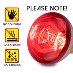 250W Heat Lamp Bulbs - 6 Pack for Reptiles