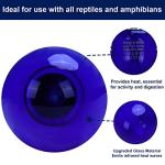 Dimmable 25W Blue Heat Lamp for Reptiles