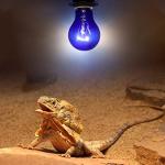 Dimmable 25W Blue Heat Lamp for Reptiles