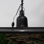 Dimmable 25W Blue Heat Lamp for Reptiles