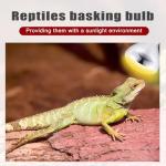 VIHOSE 6 Pack 250W Heat Lamp Bulbs for Reptiles