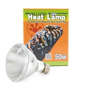 Pangea 50W Halogen Heat Lamp for Reptiles