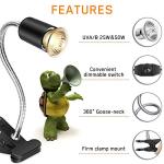 Adjustable Reptile Heat Lamp with Clamp and Bulb