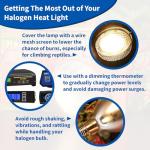 Pangea 50W Halogen Heat Lamp for Reptiles