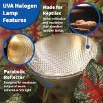 Pangea 50W Halogen Heat Lamp for Reptiles