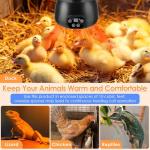 200W Reptile Heat Lamp with Temperature Control