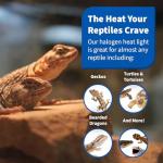 Pangea 50W Halogen Heat Lamp for Reptiles
