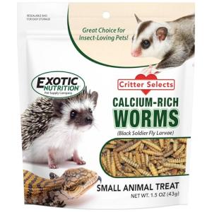 Dried Black Soldier Fly Larvae – High-Calcium Treat