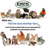 Dried Black Soldier Fly Larvae – High-Calcium Treat