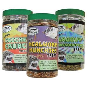 Dried Insect Treats: Crickets, Grasshoppers, Mealworms