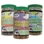 Dried Insect Treats: Crickets, Grasshoppers, Mealworms